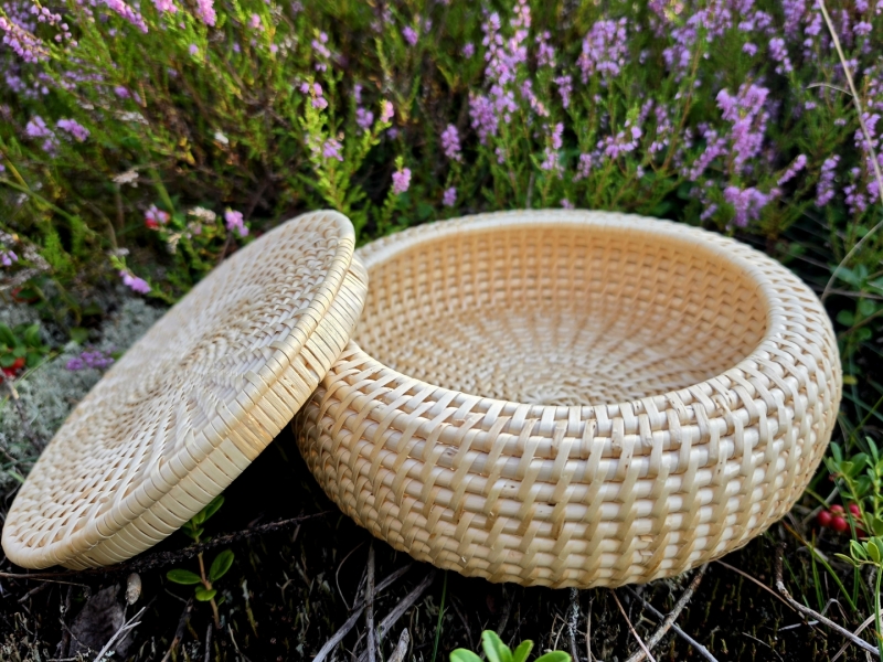 ina vaikule4