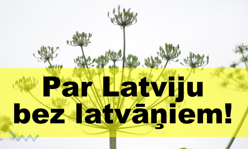 baners_latvanis
