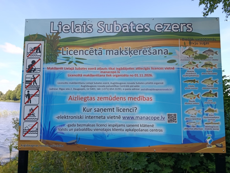 stendi