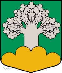 Medumu pagasts