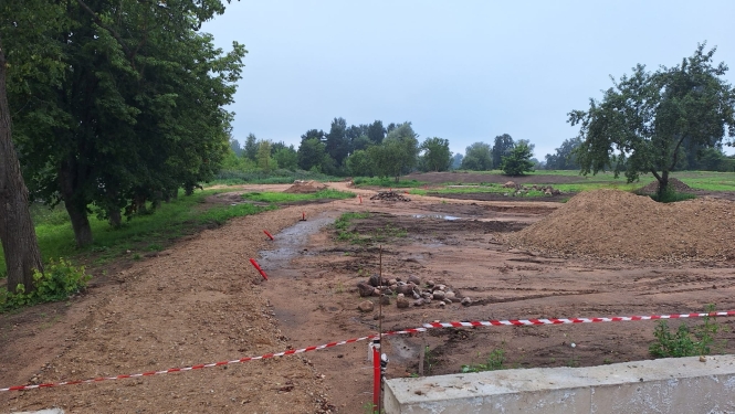 Kolestera projekts