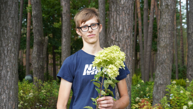 Hortenzijas