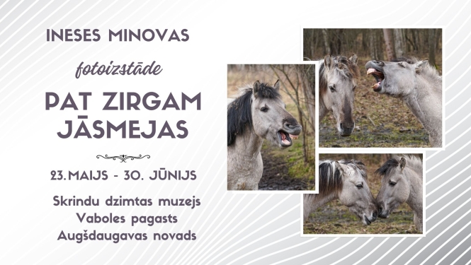 zirgs