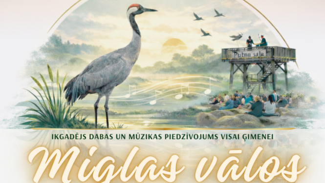 miglas vāli
