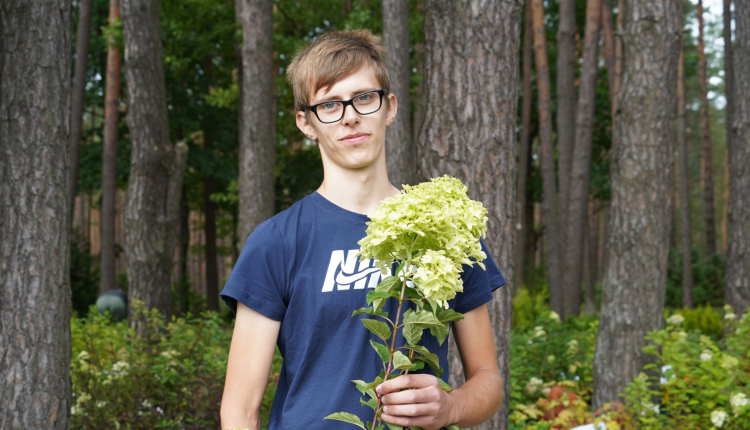 Hortenzijas