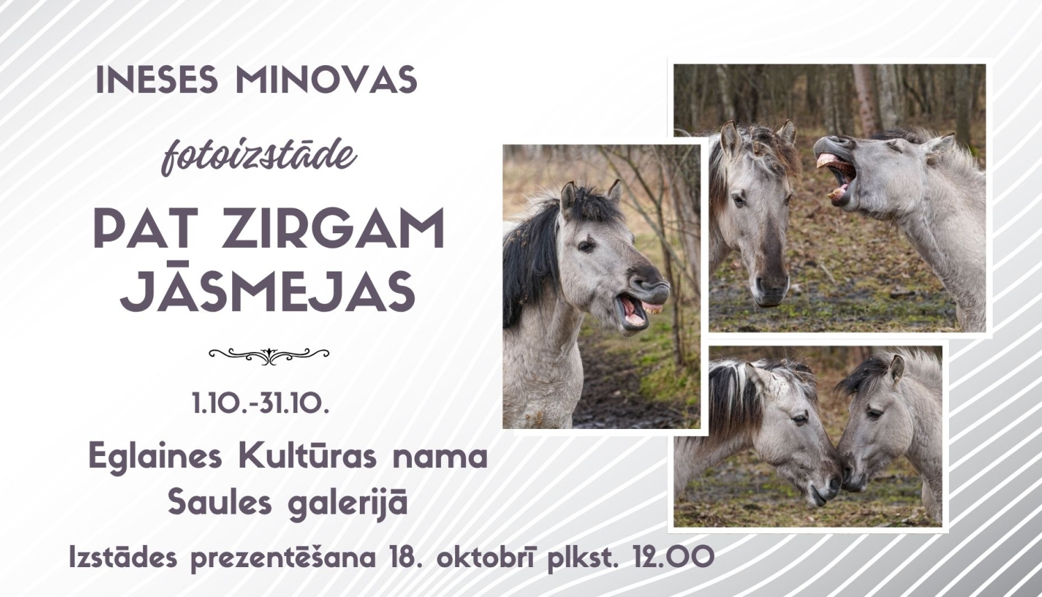 izstāde