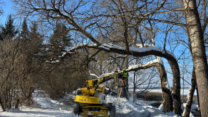 Projekta norise: teritorijas labiekārtošana