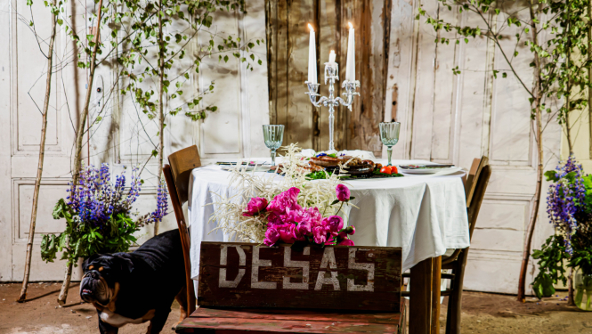 "Mājas kafejnīcu dienas 2026" publicitātes foto