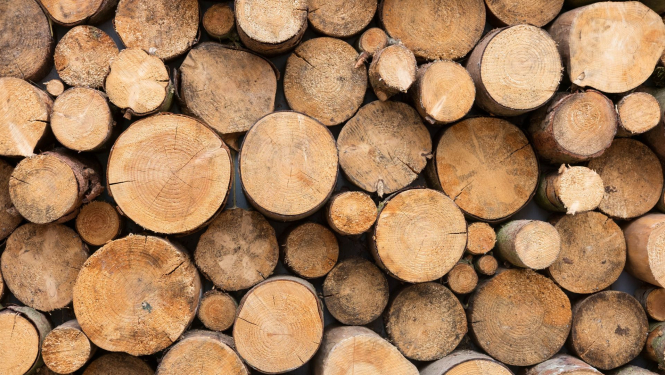 Publiska apspriešana