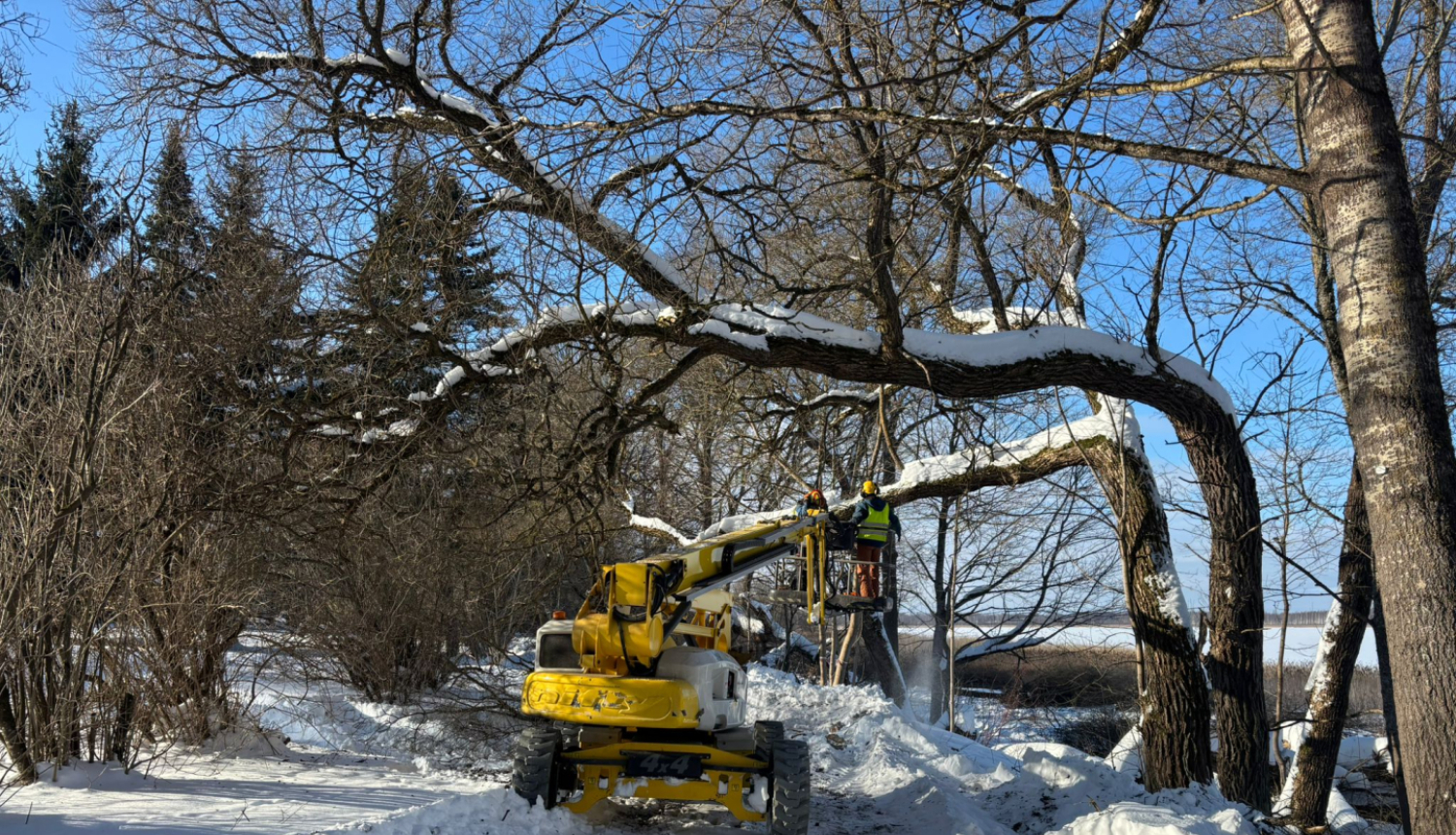 Projekta norise: teritorijas labiekārtošana