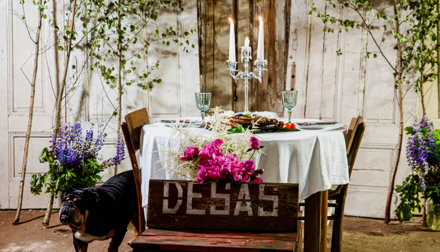 "Mājas kafejnīcu dienas 2026" publicitātes foto