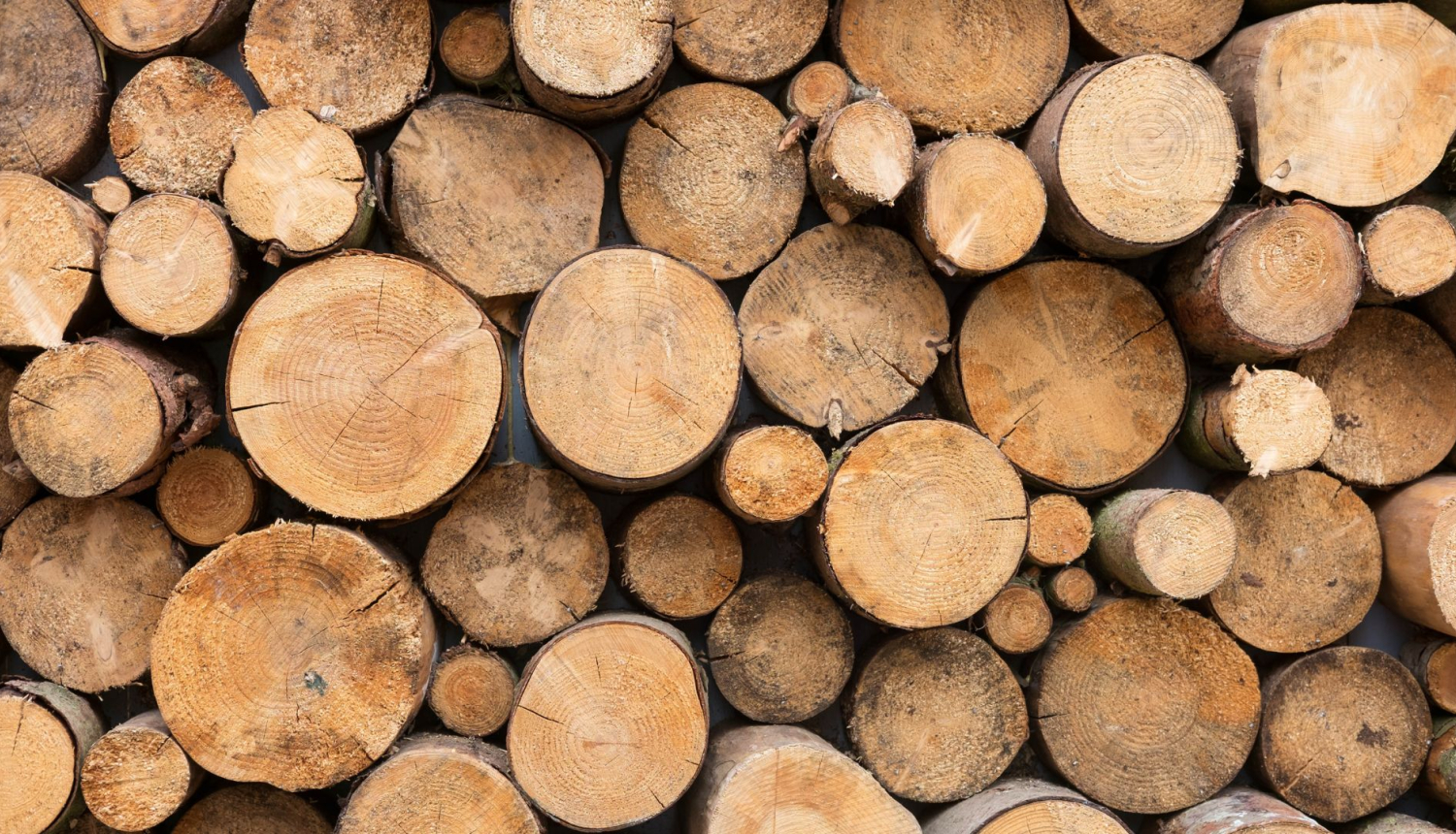 Publiska apspriešana