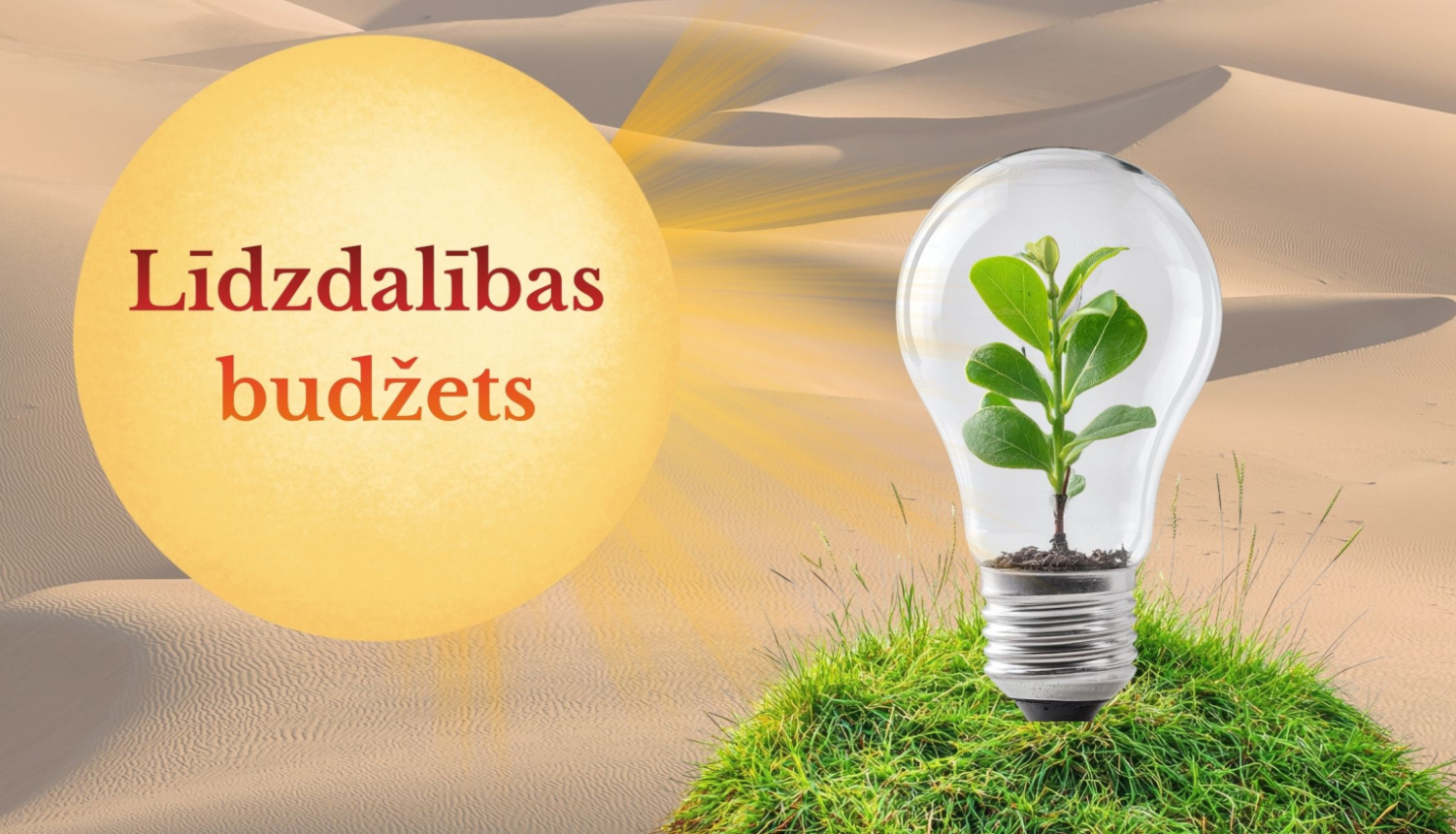 Līdzdalības budžets