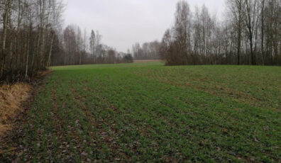 Vagani_bikernieku pag