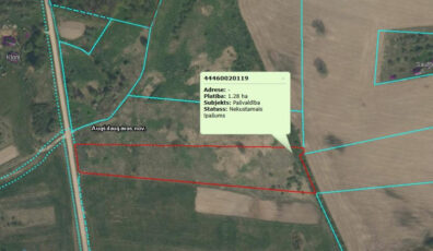 Zvindeliski_Bikernieku_pag